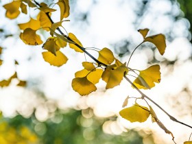 为奋进新时代新征程传递真善美传播正能量——习近平总书记贺信指引志愿服务事业高质量发展