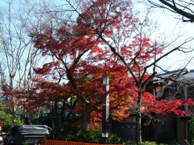 “无人机+”,加出丰富应用场景