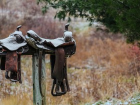性能猛兽集结!丰田宣战法拉利、劳斯莱斯,三款顶级新车曝光