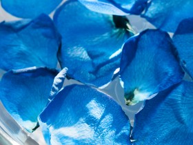 中国海警依法驱离日非法进入中国钓鱼岛领海船只