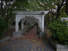 甘肃临夏统战的石榴共居