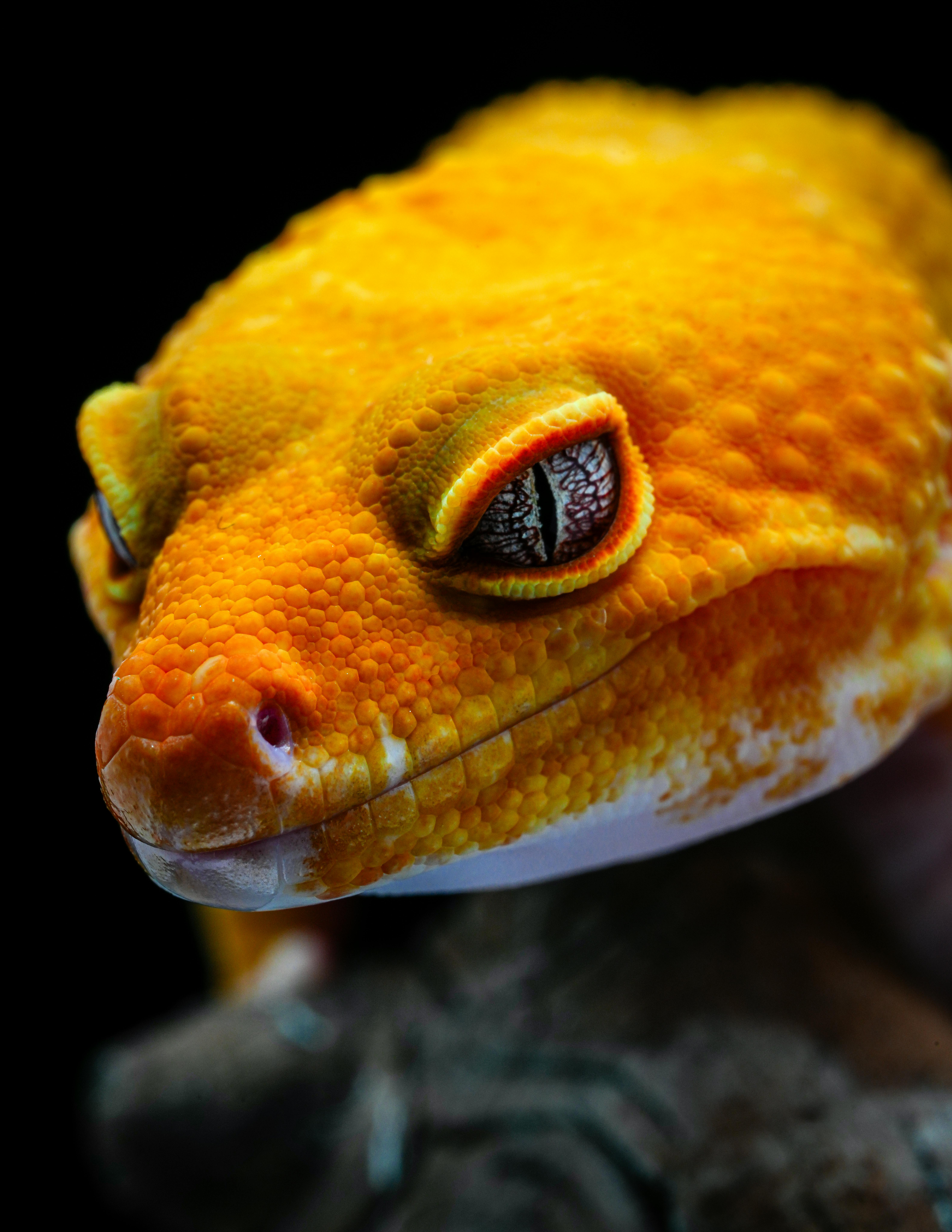 覆盖多个前沿领域！2025年我国牵头制定国际标准275项 - 图片1