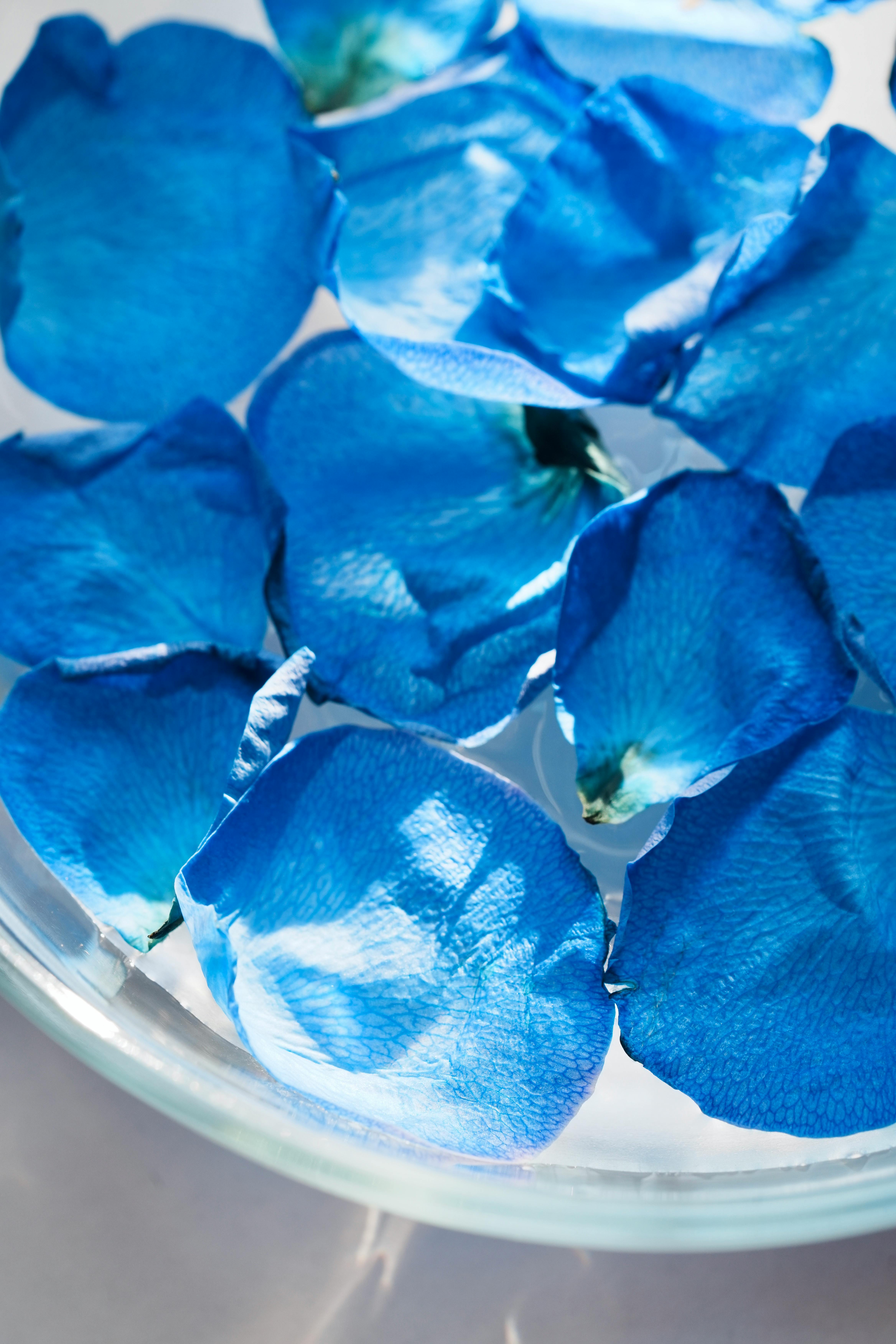 中国海警依法驱离日非法进入中国钓鱼岛领海船只 - 图片1