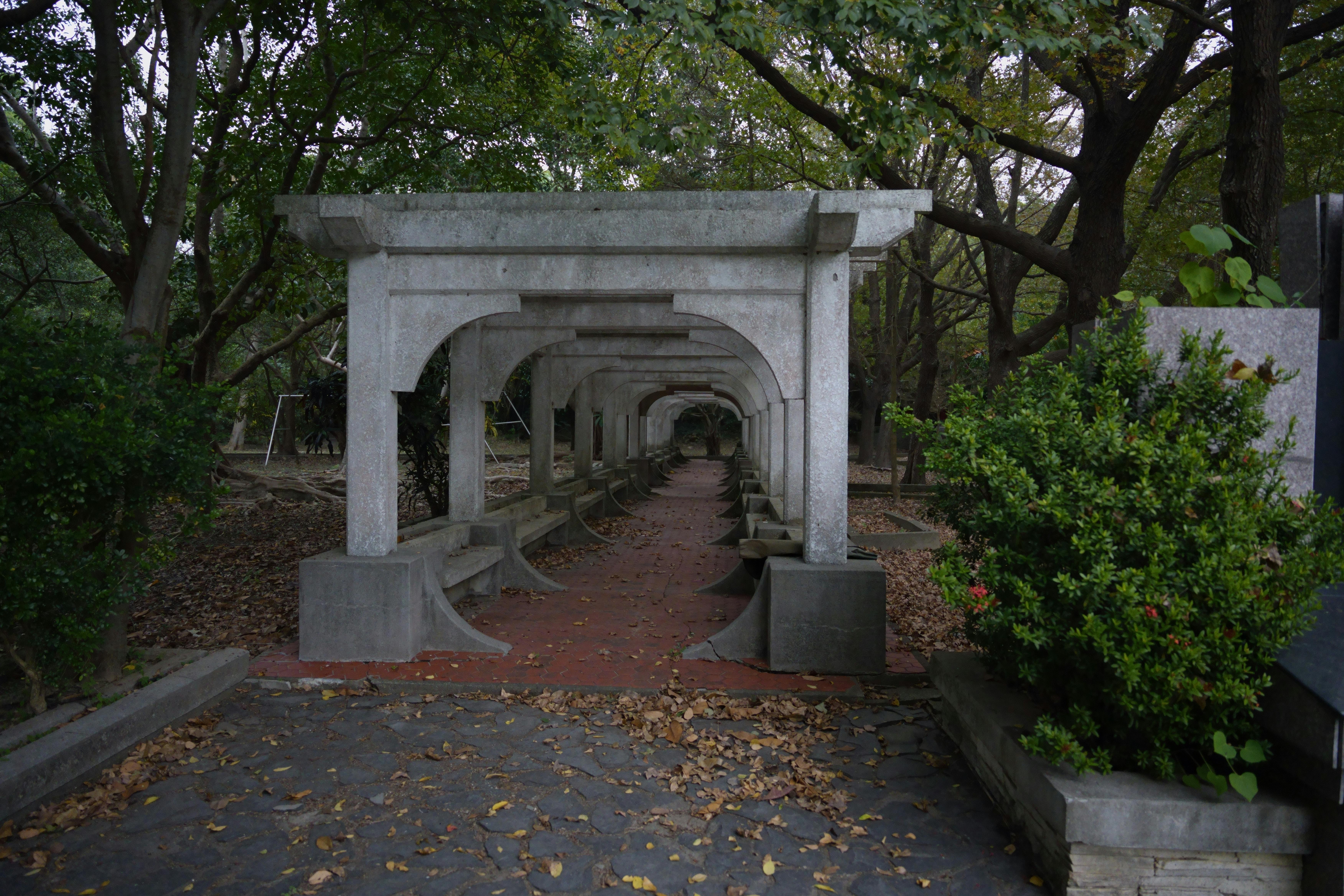 甘肃临夏统战的石榴共居 - 图片1